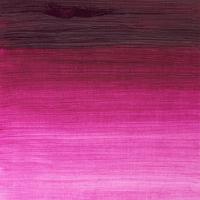 Winsor & Newton Winton Tüp Yağlı Boya 37Ml 380 Magenta