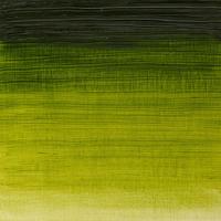 Winsor & Newton Winton Tüp Yağlı Boya 37Ml 599 Sap Green