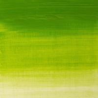Winsor & Newton Winton Tüp Yağlı Boya 37Ml 145 Chrome Green Hue