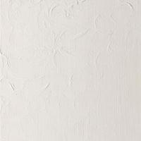 Winsor & Newton Winton Tüp Yağlı Boya 37Ml 242 Flake White Hue