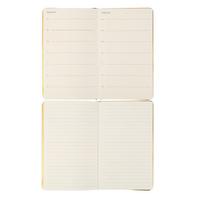 Victoria's Journals Monaco Vegan Deri Planlayıcı 13X21 Gül Kurusu