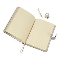 Victoria's Journals Hush Hush Kilitli Defter Kutulu 13X18 Çizgili Metalik Gümüş
