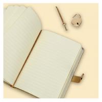 Victoria's Journals Hush Hush Kilitli Defter Kutulu 13X18 Çizgili Metalik Altın