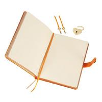 Victoria's Journals Hush Hush Kilitli Defter Kutulu 13X18 Çizgisiz Metalik Turuncu