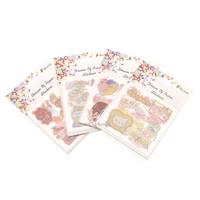 Munis Dream Of Paper Şeffaf Kawai Sticker 5'Li