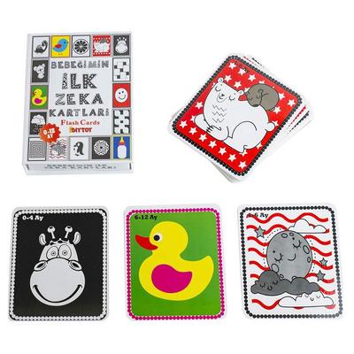 Diy Toy Flash Card Bebeğimin İlk Zeka Kartları