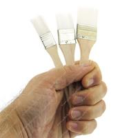 Rich Ekonomik 3'Lü Fırça Seti Beyaz Kıl