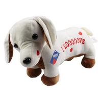 Halley Pl62203 45Cm Aşık Köpek Yastık