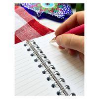 Victoria's Journals 23-0037 Sert Kapaklı Gizli Spiralli Defter 17X24 90Gr Çizgili