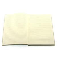 Victoria's Journals 1007 Esnek Defter A5 15X21 Çizgili Pastel Yeşil