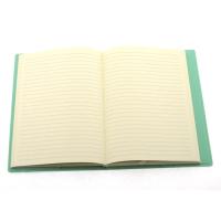Victoria's Journals 1050 Cepli Esnek Defter A5 15X21 Çizgili Pastel Yeşil