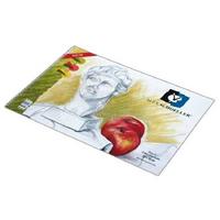 Alex Schoeller 3550 Resim Defteri 130Gr 15 Yaprak