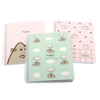 Pushen Sp Defter 16X22 80 Çizgili