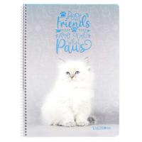 Çınar Defter Pp Spiralli A4 72 Yaprak Sevimli Kediler Çizgili