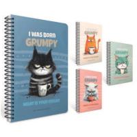 Gıpta Grumpy A6 Spiralli Not Defteri 80 Yaprak Çizgili