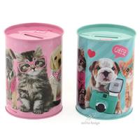 Studio Pets Pt-6258 Metal Kumbara