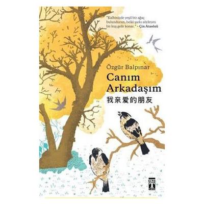 Timaş - Özgür Balpınar - Canım Arkadaşım