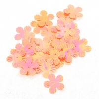 Elişi Pulu 19Mm 5Gr Paket Çiçek Gökkuşağı Yavruağzı