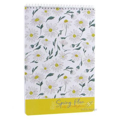 Gıpta Spring Plan Haftalık Planlayıcı Ve Notluk White