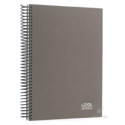 Mikro Sert Kapak Sp Defter 17X24cm 120 Yp Kareli Cool Metallic Latte