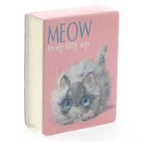Bruno Visconti 3-558 Smart Journal Mini Bloknot Meow Pembe