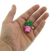 Kaktüs Silgi 5'Li Set