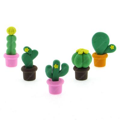 Kaktüs Silgi 5'Li Set