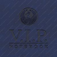 Gıpta Vip Sp Sert Deri Kapak Defter 17X24 140 Yp Çizgili Lacivert