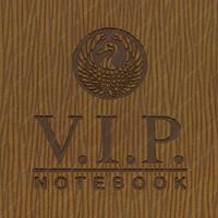 Gıpta Vip Sp Sert Deri Kapak Defter 17X24 140 Yp Çizgili Kahverengi