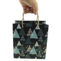 Gıpta İpli Karton Çanta Bg2627 24X21x12cm Shapes