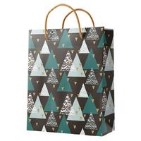 Gıpta İpli Karton Çanta Bg2627 24X21x12cm Shapes