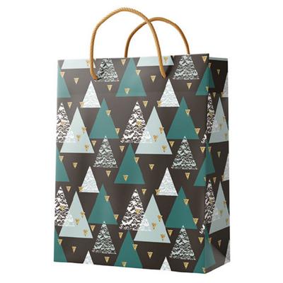 Gıpta İpli Karton Çanta Bg2627 24X21x12cm Shapes