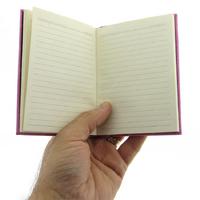 Liz Th123 Defter 10X14cm Çizgili Kırmızı