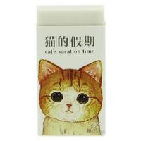 Büyük Boy Kedi Silgi