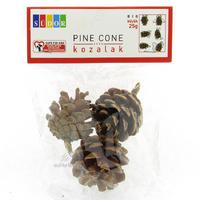 Südor Bs141 Kozalak Büyük 25G