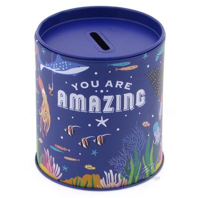 Taros 3216 Metal Açılabilir Kumbara You Are Amazing