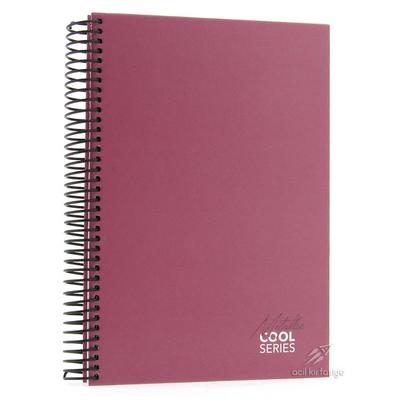 Mikro Sert Kapak Sp Defter 17X24cm 120 Yp Çizgili Cool Metallic Pembe