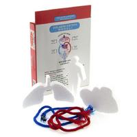 Dolaşım Sistemi Modeli