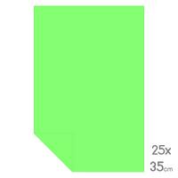 Lüks Fon Kartonu Çeyrek Boy 25X35 160Gr Yeşil