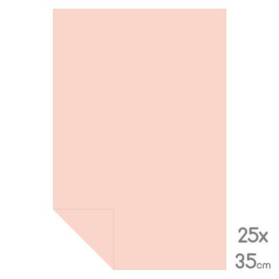 Lüks Fon Kartonu Çeyrek Boy 25X35 160Gr Somon