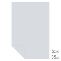 Lüks Fon Kartonu Çeyrek Boy 25X35 160Gr Gri