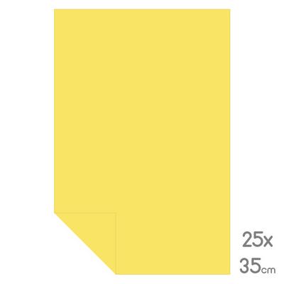 Lüks Fon Kartonu Çeyrek Boy 25X35 160Gr Altın