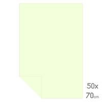 Lüks Fon Kartonu Tam Boy 50X70 160Gr Parlak Sarı / Fildişi