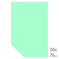 Lüks Fon Kartonu Tam Boy 50X70 160Gr Su Yeşili