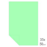 Lüks Fon Kartonu Yarım Boy 35X50 160Gr Açık Yeşil