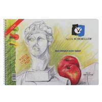 Alex Schoeller 35X50 İnce Grenli Dokulu Resim Defteri 120Gr 15 Yaprak