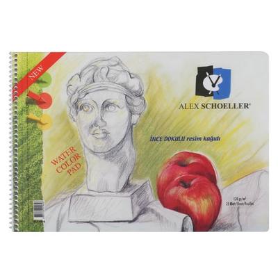 Alex Schoeller 35X50 İnce Grenli Dokulu Resim Defteri 120Gr 15 Yaprak