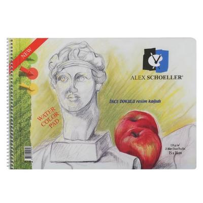 Alex Schoeller 25X35 İnce Dokulu Resim Defteri 120Gr 15 Yaprak