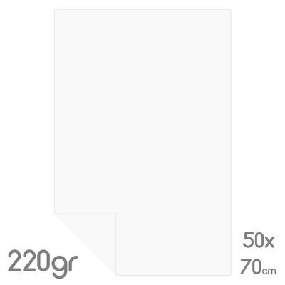 Alex Schoeller Kalın Fon Kartonu 50X70 220Gr 703 Beyaz
