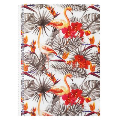Tropic Pp. Sp. Defter A4 80 Yaprak Çizgili Flamingo